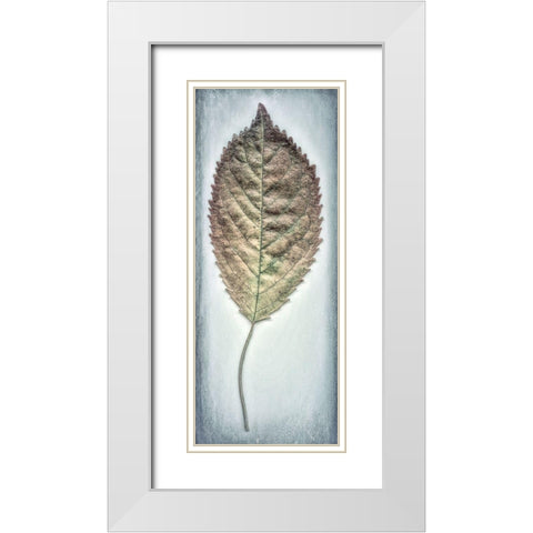 Cherry Leaf II White Modern Wood Framed Art Print with Double Matting by Mahan, Kathy