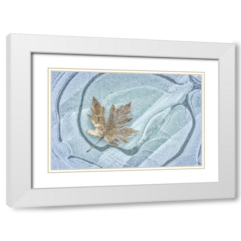 Frosty Leaf on Ice I White Modern Wood Framed Art Print with Double Matting by Mahan, Kathy