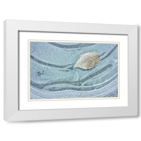 Frosty Leaf on Ice II White Modern Wood Framed Art Print with Double Matting by Mahan, Kathy