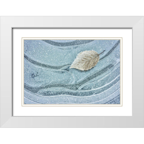 Frosty Leaf on Ice II White Modern Wood Framed Art Print with Double Matting by Mahan, Kathy