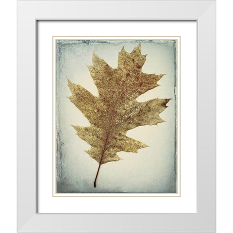 Oak Leaf White Modern Wood Framed Art Print with Double Matting by Mahan, Kathy
