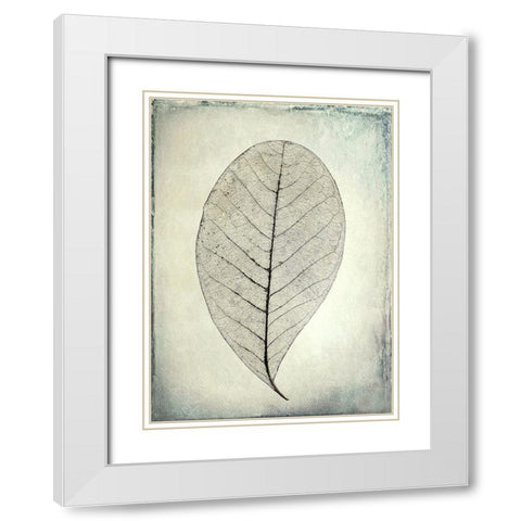 Skeletonized leaf White Modern Wood Framed Art Print with Double Matting by Mahan, Kathy