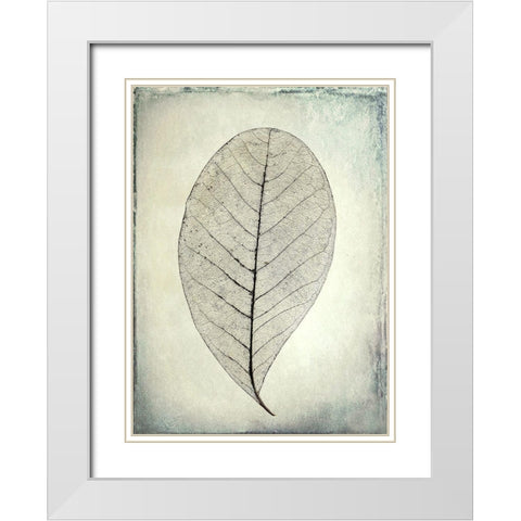 Skeletonized leaf White Modern Wood Framed Art Print with Double Matting by Mahan, Kathy