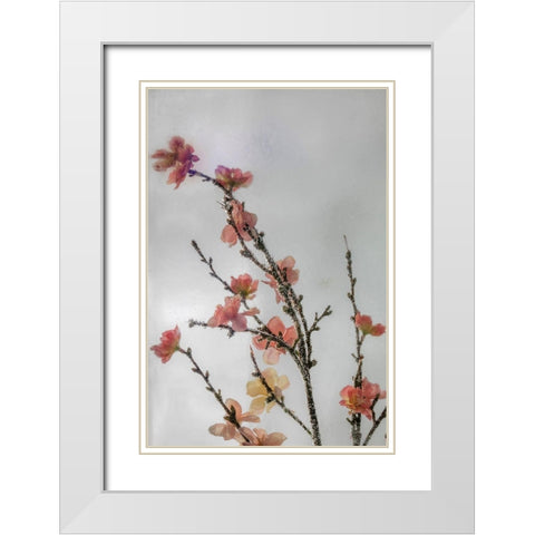 Frozen Flowers I White Modern Wood Framed Art Print with Double Matting by Mahan, Kathy