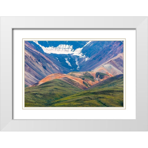 Danali National Park II White Modern Wood Framed Art Print with Double Matting by Mahan, Kathy