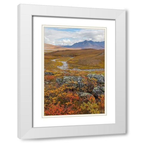 Arctic National Preserve I White Modern Wood Framed Art Print with Double Matting by Mahan, Kathy