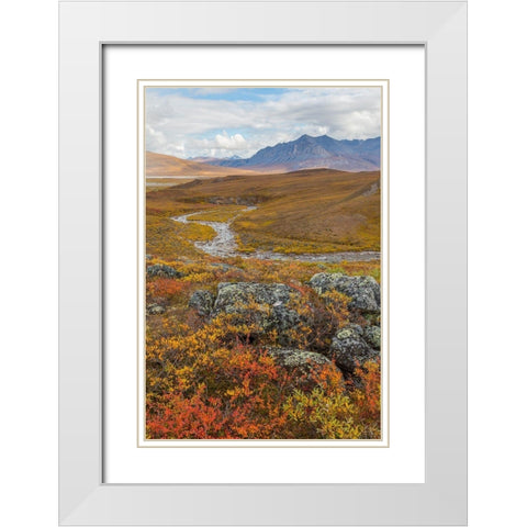 Arctic National Preserve I White Modern Wood Framed Art Print with Double Matting by Mahan, Kathy