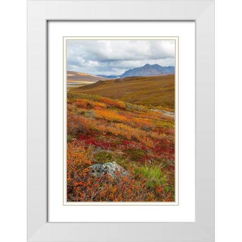 Arctic National Preserve II White Modern Wood Framed Art Print with Double Matting by Mahan, Kathy