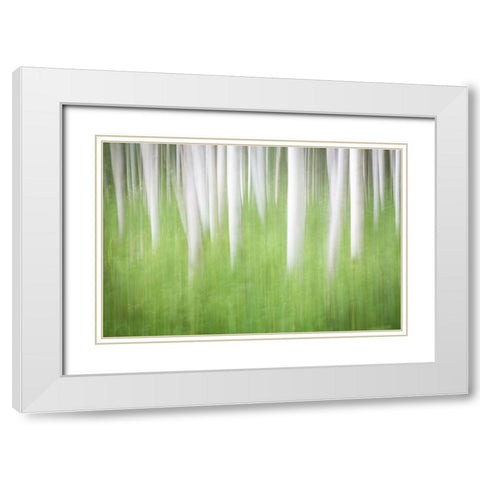 Birch in Motion White Modern Wood Framed Art Print with Double Matting by Mahan, Kathy
