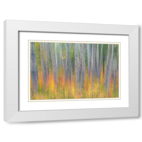 Aspen in Motion I White Modern Wood Framed Art Print with Double Matting by Mahan, Kathy