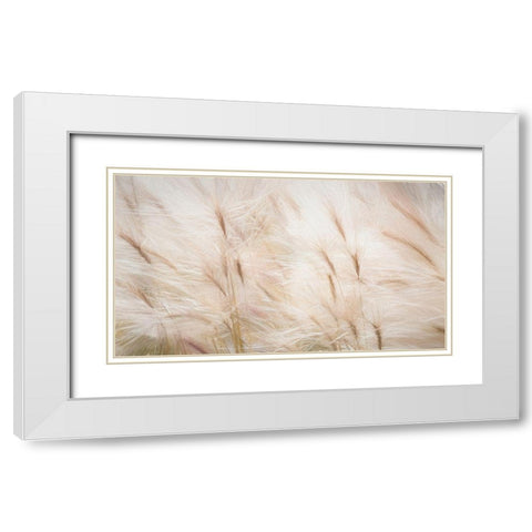 Foxtail Barley III White Modern Wood Framed Art Print with Double Matting by Mahan, Kathy