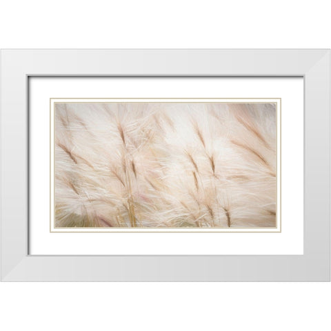Foxtail Barley III White Modern Wood Framed Art Print with Double Matting by Mahan, Kathy