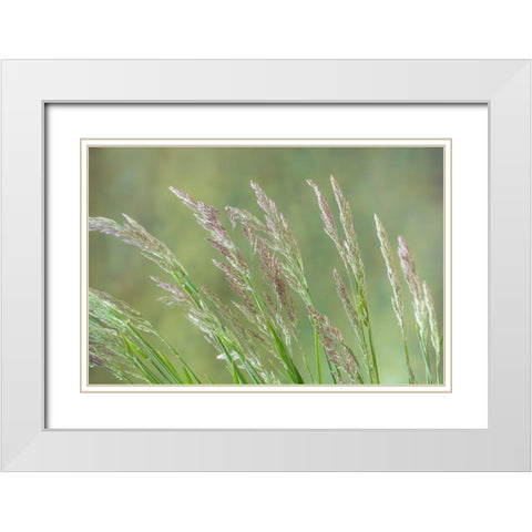 Velvet Grass II White Modern Wood Framed Art Print with Double Matting by Mahan, Kathy