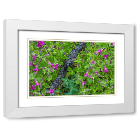 Wildflower Meadow I White Modern Wood Framed Art Print with Double Matting by Mahan, Kathy