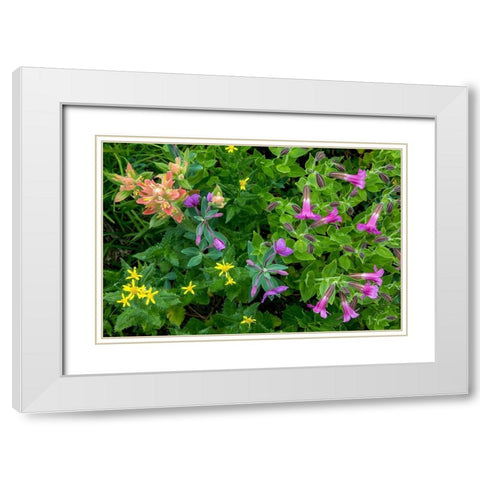 Wildflower Meadow II White Modern Wood Framed Art Print with Double Matting by Mahan, Kathy