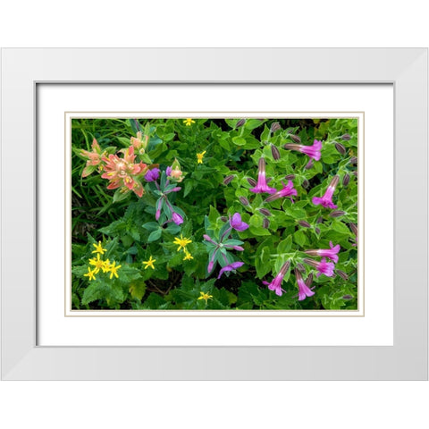 Wildflower Meadow II White Modern Wood Framed Art Print with Double Matting by Mahan, Kathy
