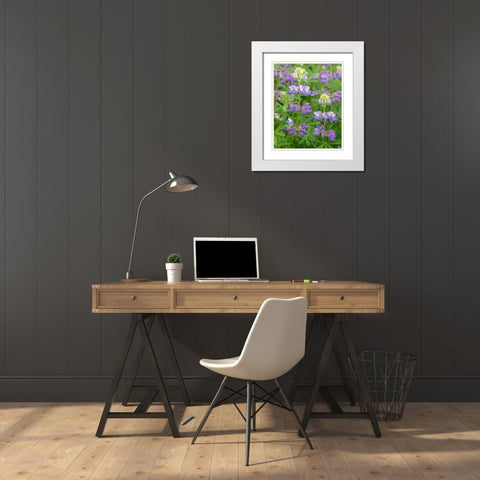 Lupine Blossoms II White Modern Wood Framed Art Print with Double Matting by Mahan, Kathy