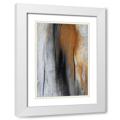 Wood Details IV White Modern Wood Framed Art Print with Double Matting by Mahan, Kathy