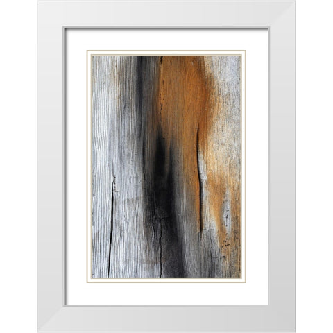 Wood Details IV White Modern Wood Framed Art Print with Double Matting by Mahan, Kathy