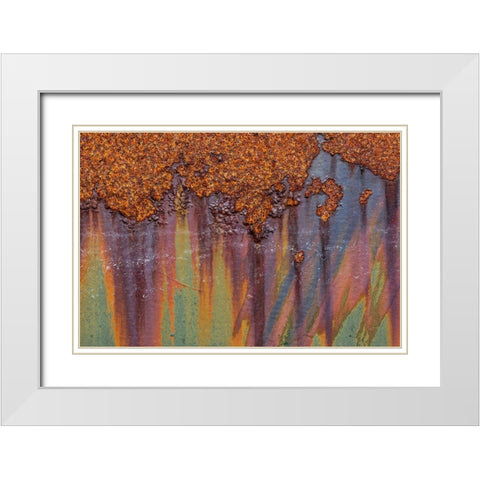 Rust I White Modern Wood Framed Art Print with Double Matting by Mahan, Kathy