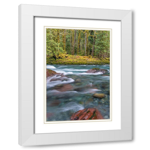 NF Skokomish River IV White Modern Wood Framed Art Print with Double Matting by Mahan, Kathy