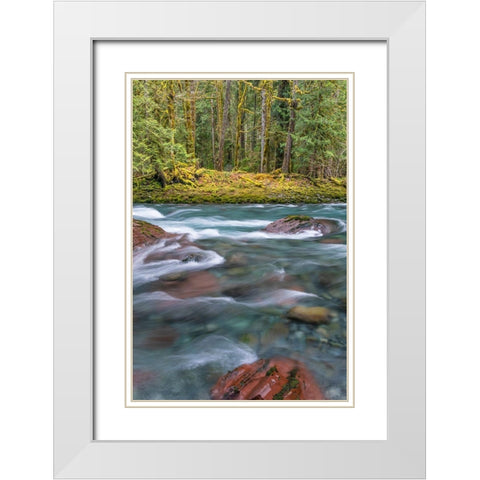 NF Skokomish River IV White Modern Wood Framed Art Print with Double Matting by Mahan, Kathy