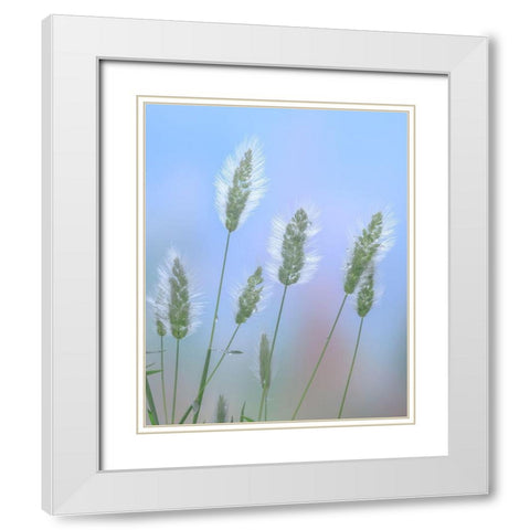 Going to Seed I White Modern Wood Framed Art Print with Double Matting by Mahan, Kathy