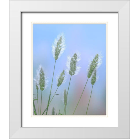 Going to Seed I White Modern Wood Framed Art Print with Double Matting by Mahan, Kathy