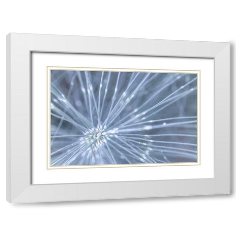 Horsetail I White Modern Wood Framed Art Print with Double Matting by Mahan, Kathy