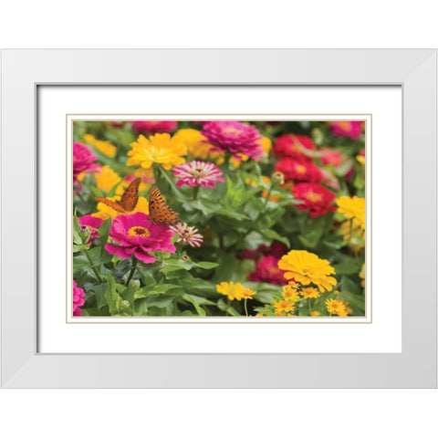 Butterfly Field II White Modern Wood Framed Art Print with Double Matting by Millet, Karyn