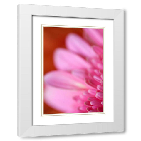 Pink Afternoon White Modern Wood Framed Art Print with Double Matting by Millet, Karyn