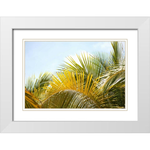 Palms at Noon White Modern Wood Framed Art Print with Double Matting by Millet, Karyn