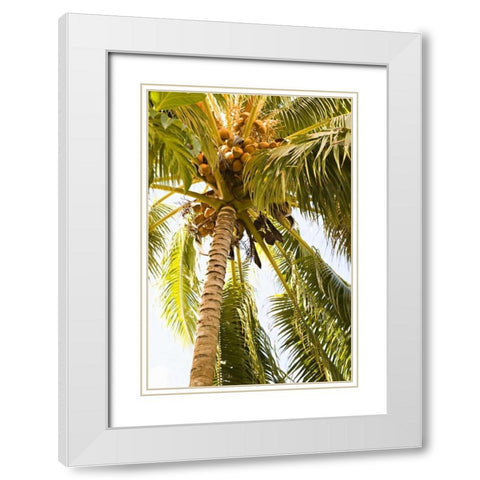 Beach Palm I White Modern Wood Framed Art Print with Double Matting by Millet, Karyn