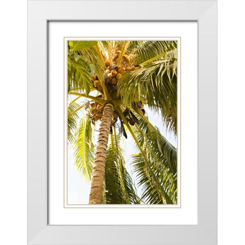 Beach Palm I White Modern Wood Framed Art Print with Double Matting by Millet, Karyn