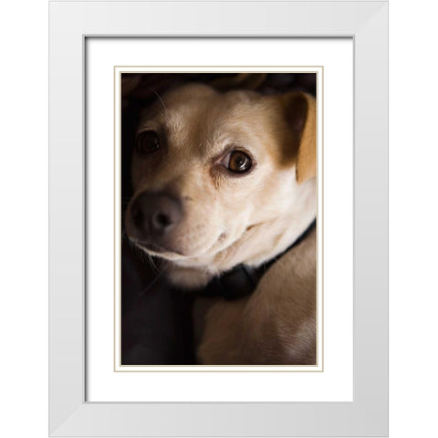 Second Glance White Modern Wood Framed Art Print with Double Matting by Millet, Karyn