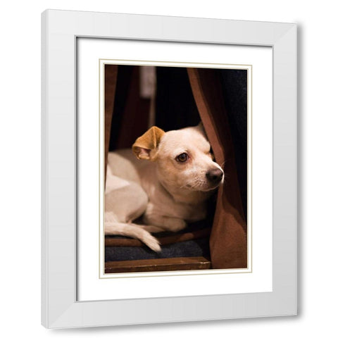Napping White Modern Wood Framed Art Print with Double Matting by Millet, Karyn