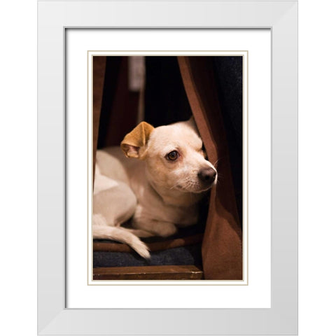 Napping White Modern Wood Framed Art Print with Double Matting by Millet, Karyn