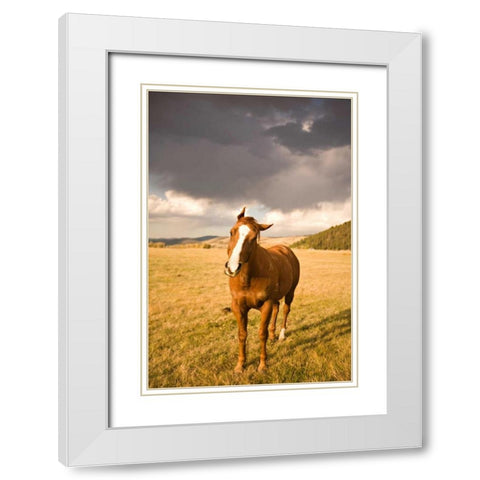 Out in the Pasture I White Modern Wood Framed Art Print with Double Matting by Millet, Karyn