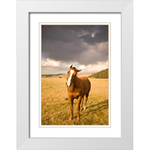 Out in the Pasture I White Modern Wood Framed Art Print with Double Matting by Millet, Karyn