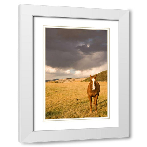 Out in the Pasture II White Modern Wood Framed Art Print with Double Matting by Millet, Karyn