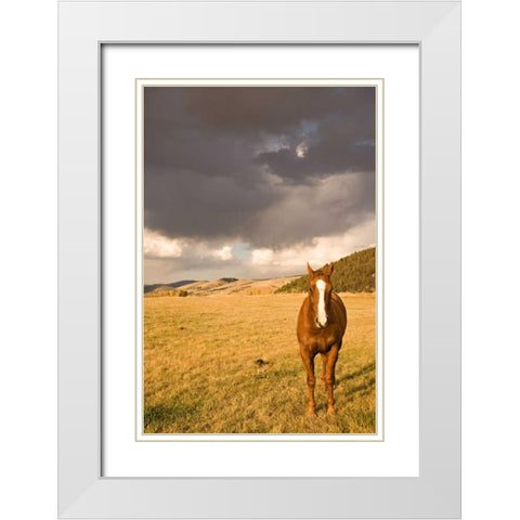 Out in the Pasture II White Modern Wood Framed Art Print with Double Matting by Millet, Karyn