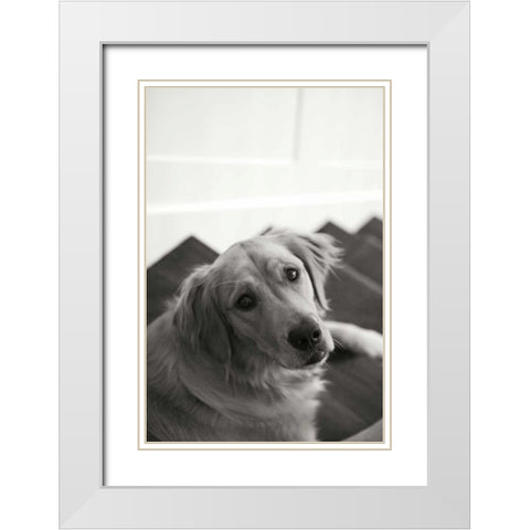 Goldie I White Modern Wood Framed Art Print with Double Matting by Millet, Karyn