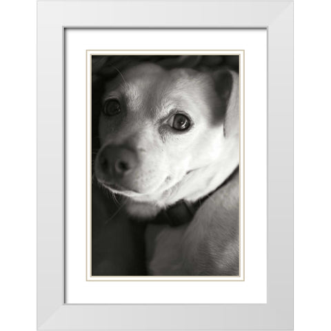 Second Glance White Modern Wood Framed Art Print with Double Matting by Millet, Karyn