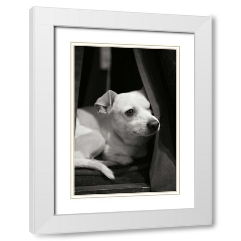 Napping White Modern Wood Framed Art Print with Double Matting by Millet, Karyn