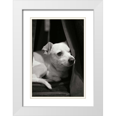 Napping White Modern Wood Framed Art Print with Double Matting by Millet, Karyn