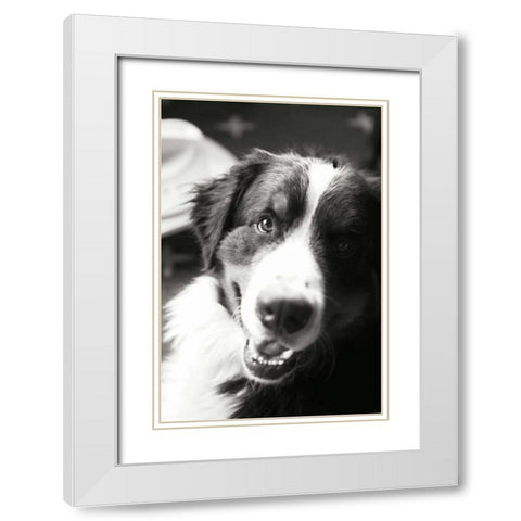 Ranch Dog White Modern Wood Framed Art Print with Double Matting by Millet, Karyn