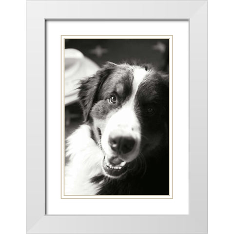 Ranch Dog White Modern Wood Framed Art Print with Double Matting by Millet, Karyn