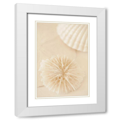 Ocean Treasures I White Modern Wood Framed Art Print with Double Matting by Millet, Karyn