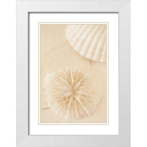Ocean Treasures I White Modern Wood Framed Art Print with Double Matting by Millet, Karyn
