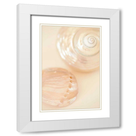 Ocean Treasures II White Modern Wood Framed Art Print with Double Matting by Millet, Karyn